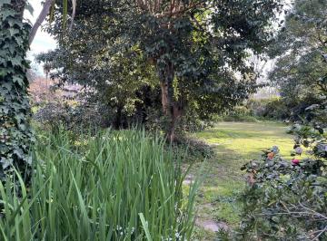 Foto · Terreno en Venta. Villa Elisa