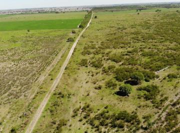 Foto · Campo Venta