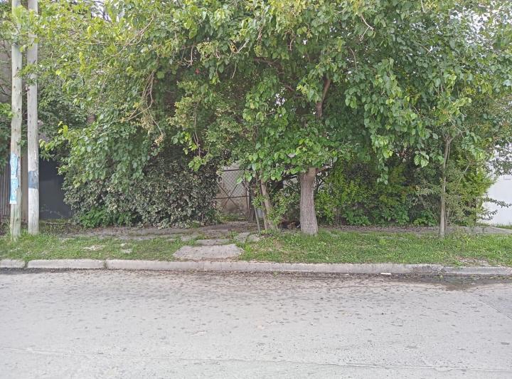 Terreno · 200m² · 2 Ambientes