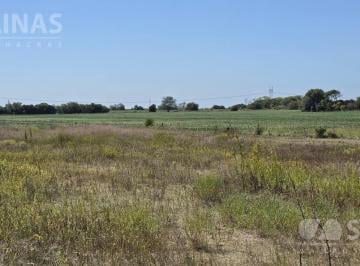 Campo · 100000m² · Chacra Alomada en San Antonio de Areco