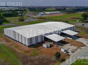 Depósito · 6000m² · Alquiler Deposito Nave Aaa a Estrenar 6000 m² Ideal Industria Agroquimica Parque Industrial Zárate