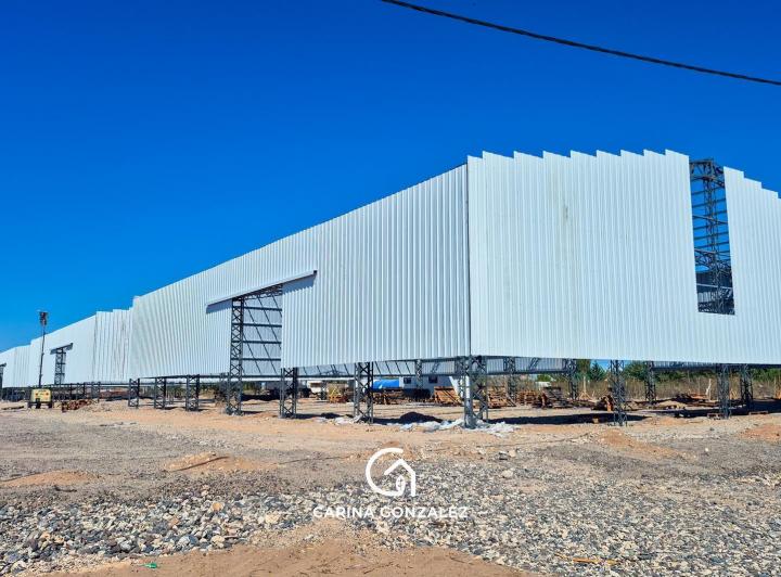 Bodega-Galpón · 600m²