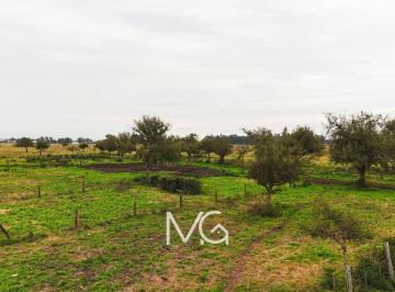 Terreno · 522m² · Venta Terrenos con Escritura y Financiacion en San Vicente
