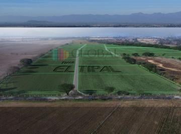 Campo · 384000m² · Finca en Chicoana