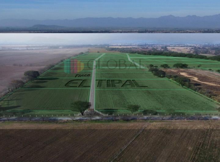 Campo · 384000m²