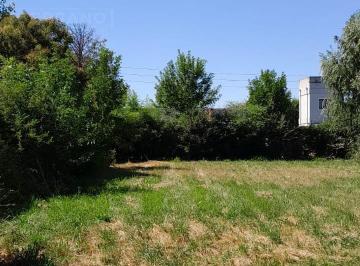 Terreno · 740m² · Venta Terreno 740 m², Calle Sanchez Al 600, Parque Sakura, Exaltacion de La Cruz
