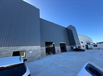 Bodega-Galpón · 800m² · Alquiler de Nave Industrial en Carlos Spegazzini de 800 m² con Sistema Contra Incendios