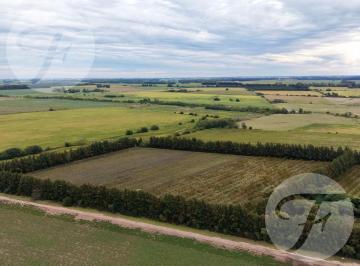 Campo · 125500ha · Reservado