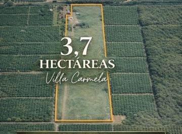ISN-ISN-2758_2 · Lote. | Villa Carmela