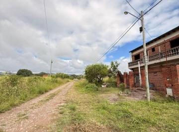 Terreno , Los Alisos · Venta Terreno B⁰ Nuevo Alisos ️300 m²