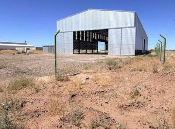 Bodega-Galpón · 10000m² · Galpón en Añelo