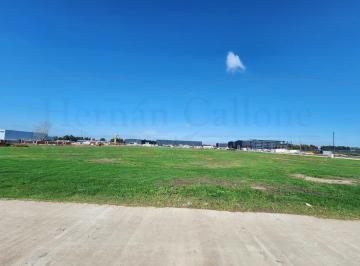 Terreno · 5000m² · Terreno de 5000 m² en El Parque Industrial R25