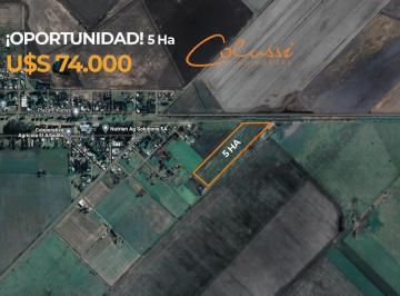 Campo · 50000m² · Venta Campo 5 Ha - Rojas - Villa Manuel Pomar - Ideal Cultivo de Cereales