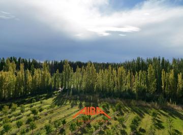 Campo · 134m² · 5 Ambientes · Vende 7 Has en Producción en Vista Alegre