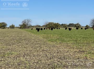 Campo · 4500000ha · 3 Ambientes · Campo en Venta de 450 Has en Magdalena