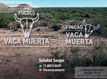 Terreno · 1ha · Venta de Terreno en Vaca Muerta