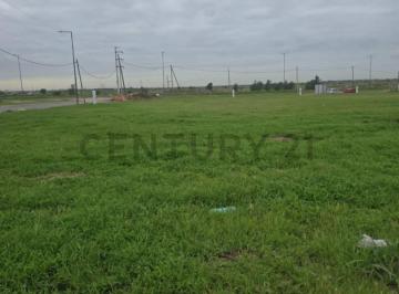 Terreno · 600m² · Lote Apto Comercio Docta