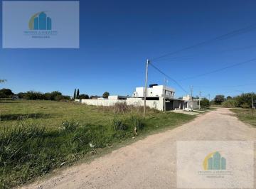 Terreno · 300m² · Lote en Venta Lisandro Olmos Etcheverry
