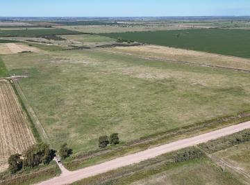 Campo · Campo de 66 Hectáreas en Egusquiza