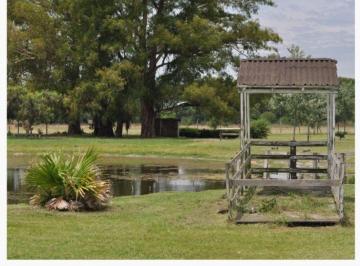 Fondo de comercio · 900m² · Campo, Fondo de Comercio, 6ha en Gral. Rodriguez, Arbolado, Ideal Varios Rubros