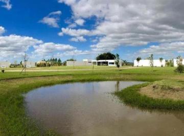 Terreno · 700m² · Terreno en Venta - 700 m² - La Plata