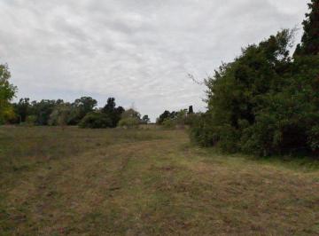 Terreno · 10575m² · Terreno en Venta - 10.575 Ms2 - Berisso
