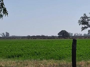 pradera · Campo en Venta