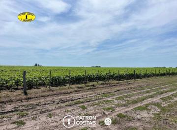 Imagen 1 · Campo Venta Ayacucho