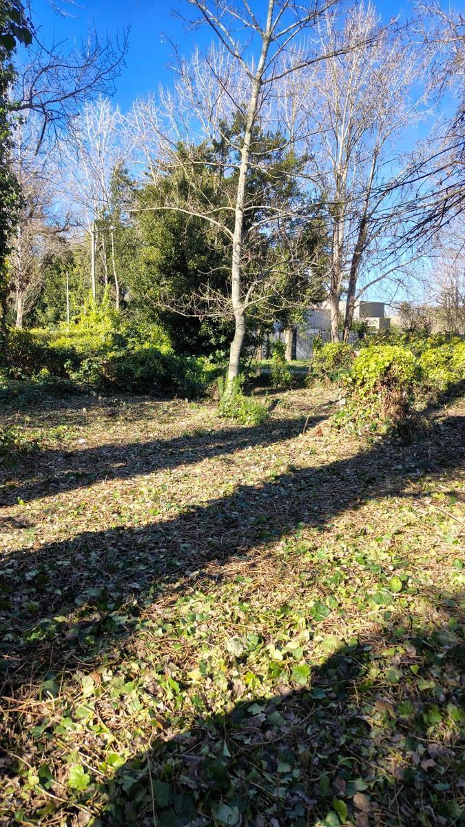Lote en El Tejado, 590m² ideal para vivienda o cabañas