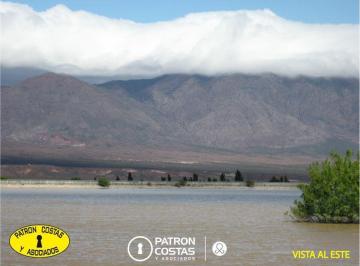 Imagen 1 · Campo Venta San Carlos Salta