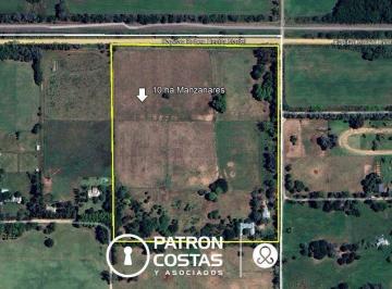 Imagen 1 · Campo en Venta en Manzanares