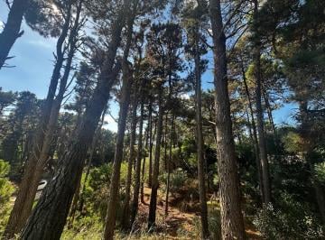 Terreno · 1114m² · Terreno en Venta - Barrio Álamos, Excelente Vista Al Bosque
