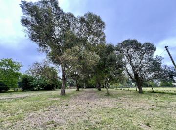 Foto · Campo en Venta en Olmos, La Plata. con Dos Casas y Predio con Cancha
