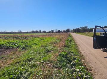 Campo · 55000m² · Campo en Colonia Caroya, Cba.