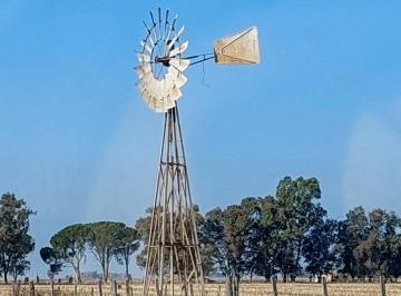 Foto · Venta Campo