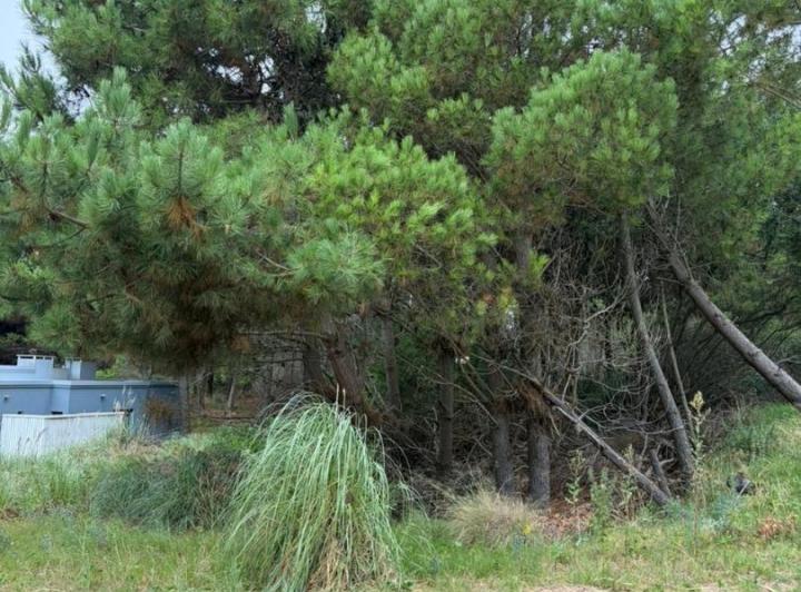 Terreno · 996m²