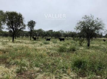 Campo · 8000m² · Terreno Campo en Venta en Chepes, Rosario Vera Peñaloza, La Rioja