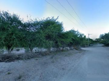 Campo , La Majadita · La Majadita, Se Vende 25.000 m² en Excelente Ubicación