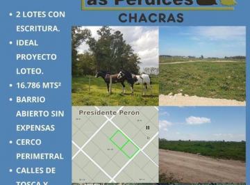 Terreno · 16786ha · Oportunidad, Venta 2 Lotes en Block (Chacras) con Escritura