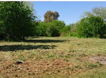 Terreno , La Plata · Terreno en Venta Villa Elisa 2700 m²