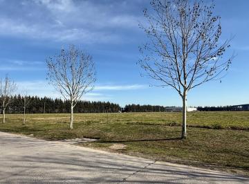 Terreno · 11021m² · Excelente Terreno Industrial Polo Ezeiza 11.000 m