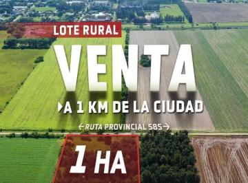 Campo · 10200m² · Campo en Romang