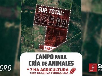 Campo · 2250000ha · Campo en Berna