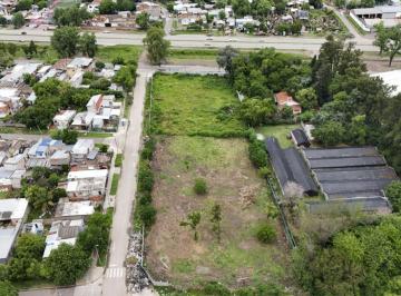 HGP-HGP-9093_3 · Lote. | Corberta Uruguay