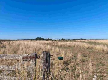 Campo · 50ha · Campo Ganadero en Venta