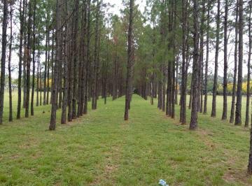 Terreno · 1100m² · Country Chacra de La Villa – Terrenos en Venta (Zona Norte de Córdoba)