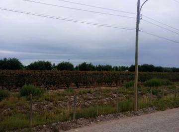 Terreno , Perdriel · Terreno Ideal Para Urbanización con Todos Los Servicios