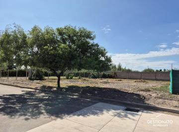 Terreno , Maipú · Lote en Venta en B° Terrazas Park - Maipu - Zona Boedo