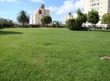 Departamento de 3 ambientes, Colegiales · Tres Ambientes con Patio y Cochera en La Algodonera