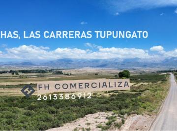 Campo , Tupungato · Finca 26 Ha Sobre Ruta 89 – La Carrera | Frente a Ruta - Electricidad - Red de Agua y Dªriego